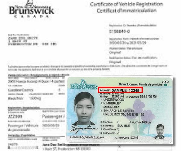 New Brunswick driver's licence exchange and vehicle registration guide for newcomers, including licence transfers, road tests, and inspection requirements